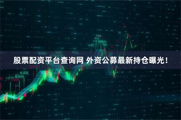 股票配资平台查询网 外资公募最新持仓曝光！