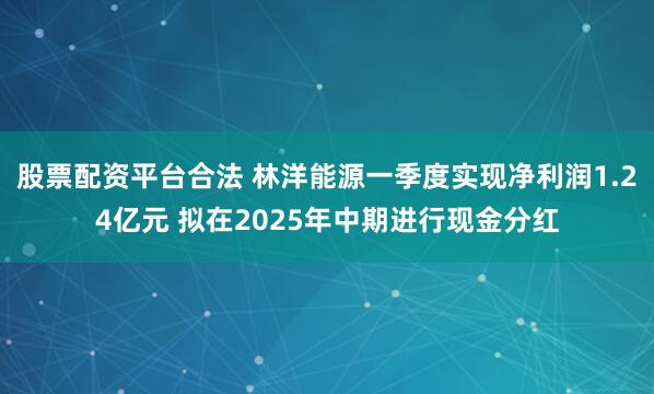 股票配资平台合法 林洋能源一季度实现净利润1.24亿元 拟在2025年中期进行现金分红