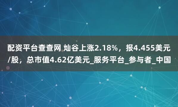 配资平台查查网 灿谷上涨2.18%，报4.455美元/股，总市值4.62亿美元_服务平台_参与者_中国