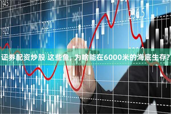 证券配资炒股 这些鱼, 为啥能在6000米的海底生存?